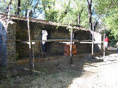 IMG_0421