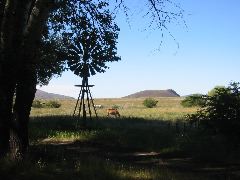 IMG_0407
