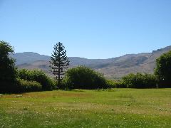 IMG_0391
